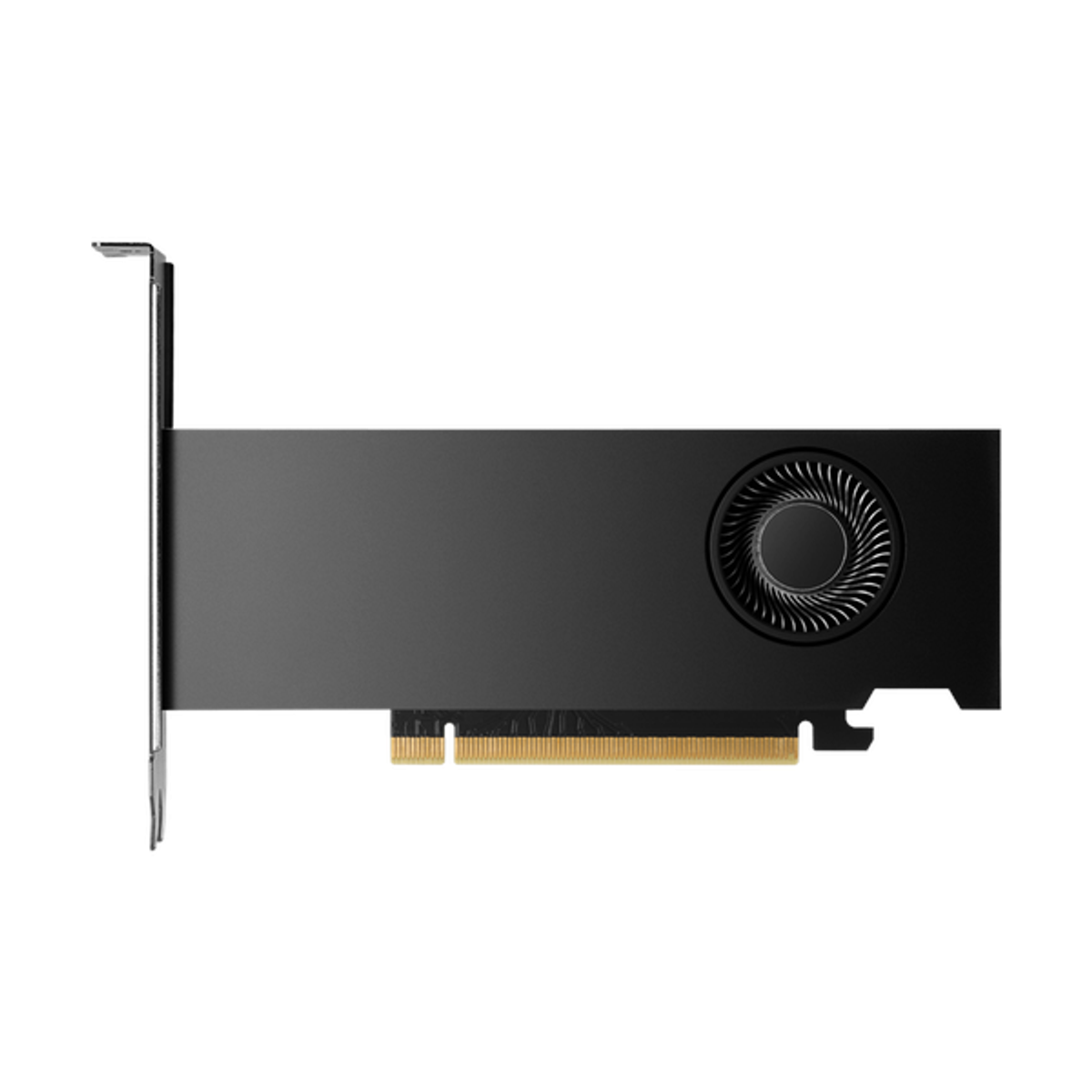 HP Nvidia RTX 2000 Ada Workstation Graphics Card, GDDR6 16GB 128-bit Memory, 4 x Mini DP 1.4a Outputs, PCI Express 4.0, 224 GB/s Memory Bandwidth, 1 Year Warranty | 8D6B8AA