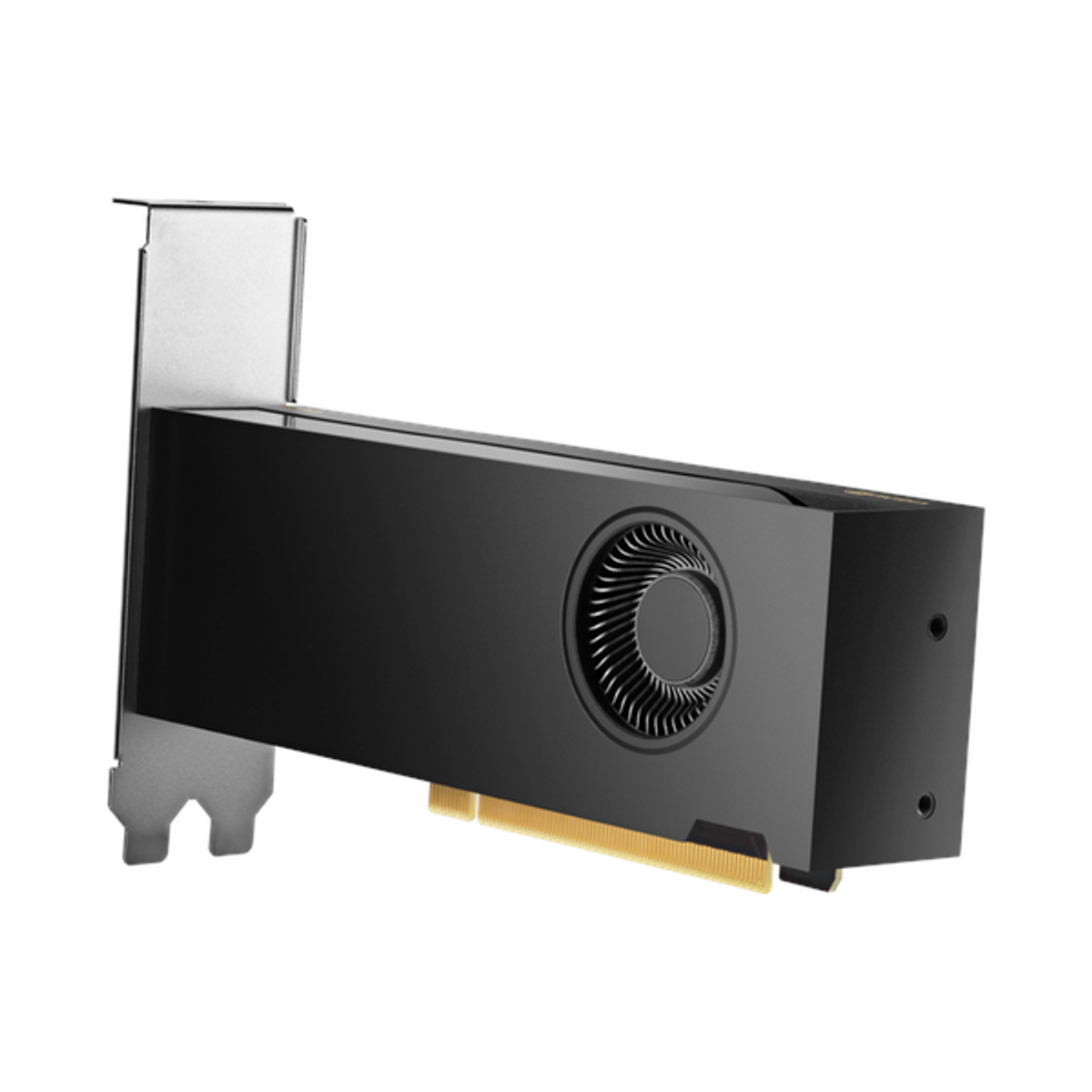 HP Nvidia RTX 2000 Ada Workstation Graphics Card, GDDR6 16GB 128-bit Memory, 4 x Mini DP 1.4a Outputs, PCI Express 4.0, 224 GB/s Memory Bandwidth, 1 Year Warranty | 8D6B8AA
