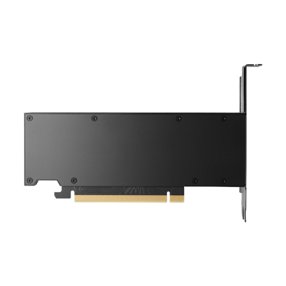 HP Nvidia RTX 2000 Ada Workstation Graphics Card, GDDR6 16GB 128-bit Memory, 4 x Mini DP 1.4a Outputs, PCI Express 4.0, 224 GB/s Memory Bandwidth, 1 Year Warranty | 8D6B8AA