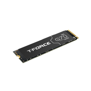 Teamgroup G70 PRO M.2 PCIe SSD 1TB, 1 Year Warranty | TM8FFH001T0C129